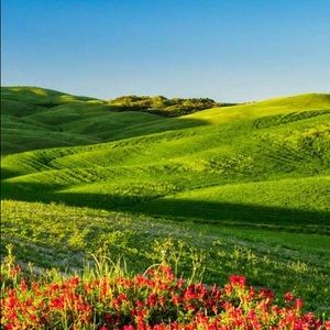 Meet your Posher, Ahmad